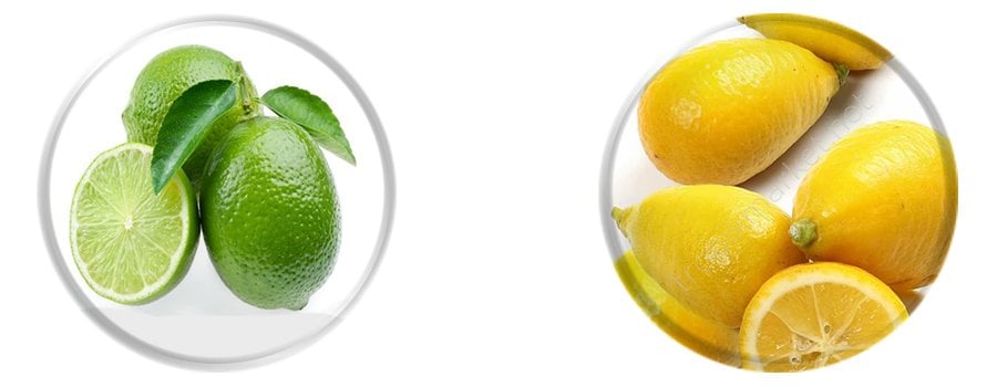 tüplü aşılı çekirdeksiz lime limon fidanı satın al