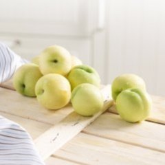 Tüplü Aşılı Yarı Bodur Erkenci Beyaz Nektarin Fidanı