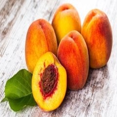 Tüplü Aşılı Tam Bodur Kendine Verimli Glohoven Şeftali Fidanı