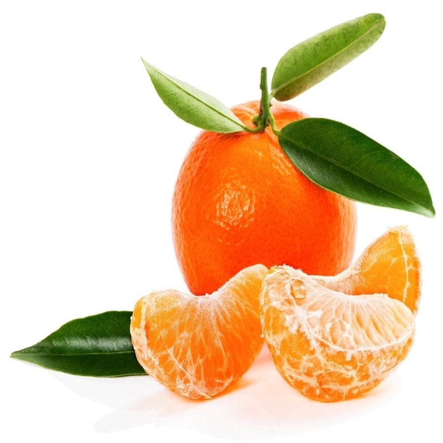 Tüplü Aşılı Aromalı W.Murcot Mandalina Fidanı