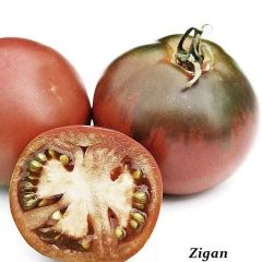 Zigan Alacalı Etli Armut Domates Tohumu (15 tohum)