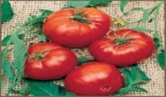 Doğal Brandywine Red Domates Tohumu(20 Tohum)