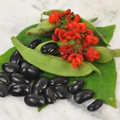 Doğal Malezya Siyah Sırık Fasulye Tohumu (10 tohum)