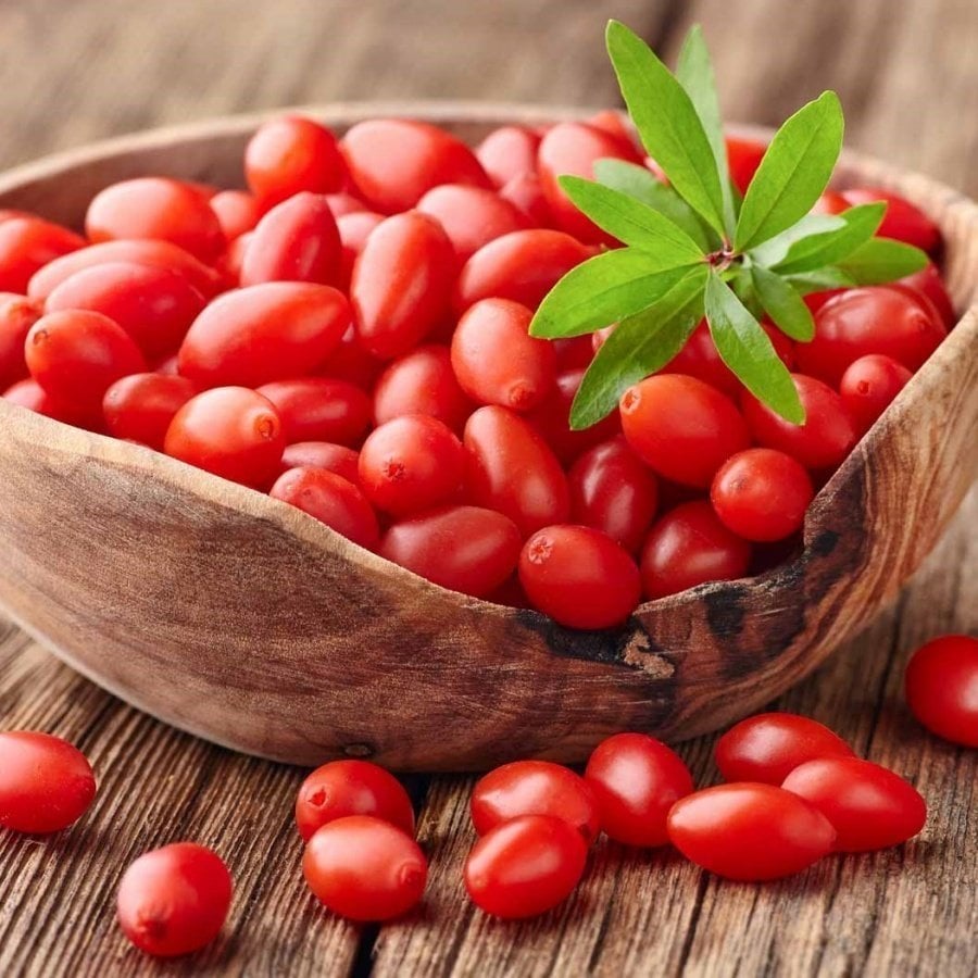 Tüplü NQ7 Kırmızı Goji Berry Fidanı (10 ADET)