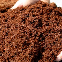 Özel Karışım Akıllı Gübreli Kaktüs Sukulent Toprağı(1 litre)