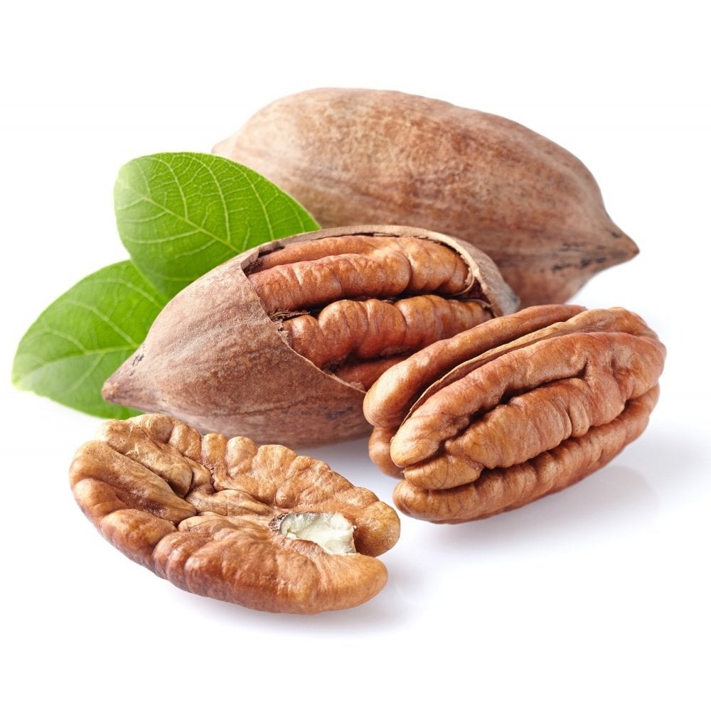Tüplü Sahil Cevizi Pikan (Pecan) Ceviz Fidanı