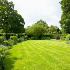 7 Karışım Spor Alan Çim Fidesi (384 Adet)