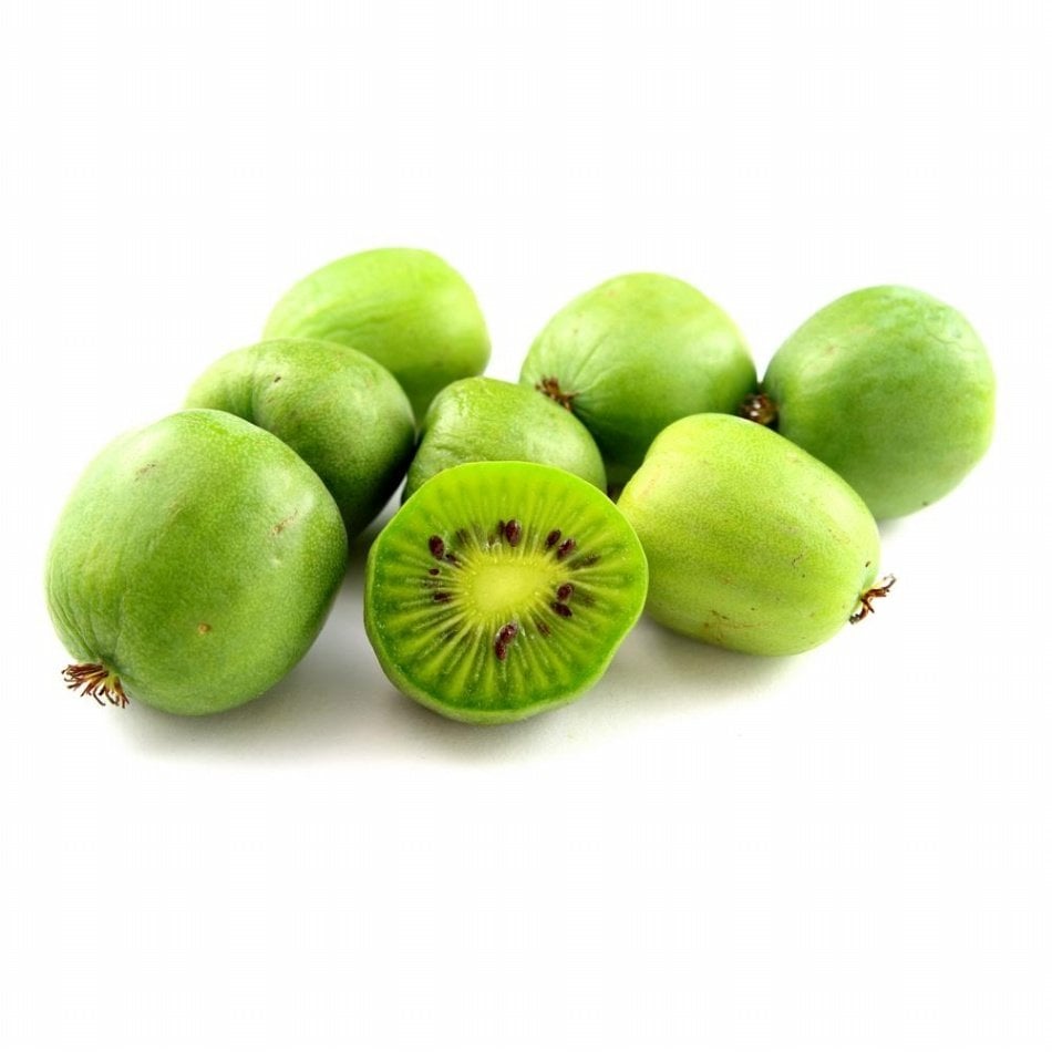 Tüplü Küçük Meyveli Hardy Bebek Kivi Fidanı