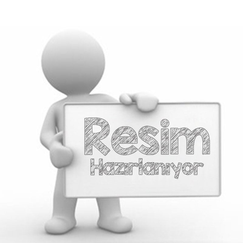 Tüplü Viking Siyah Aronya Fidanı